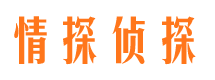 大渡口市侦探公司